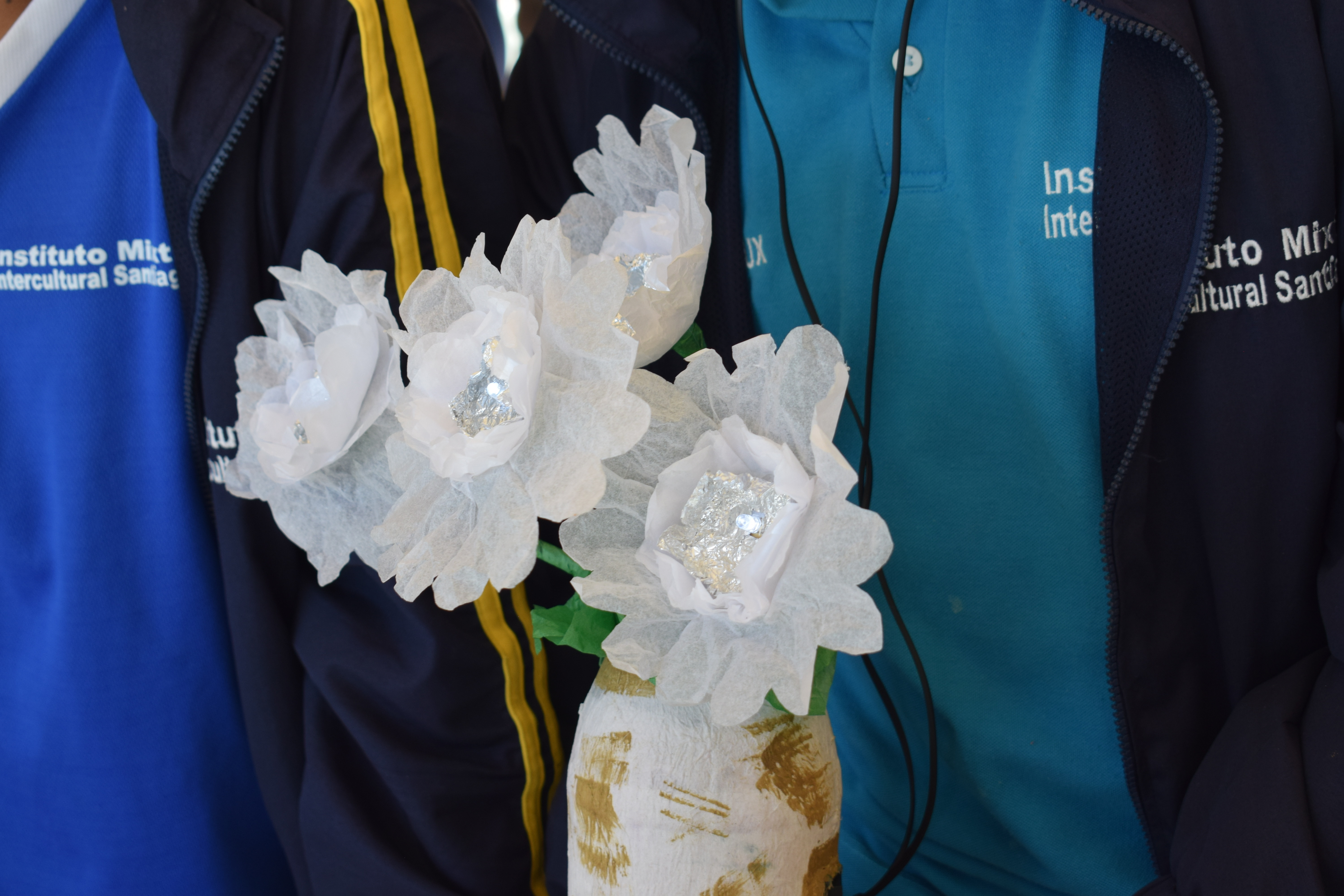 Flores de papel con LED — Instituto Santiago