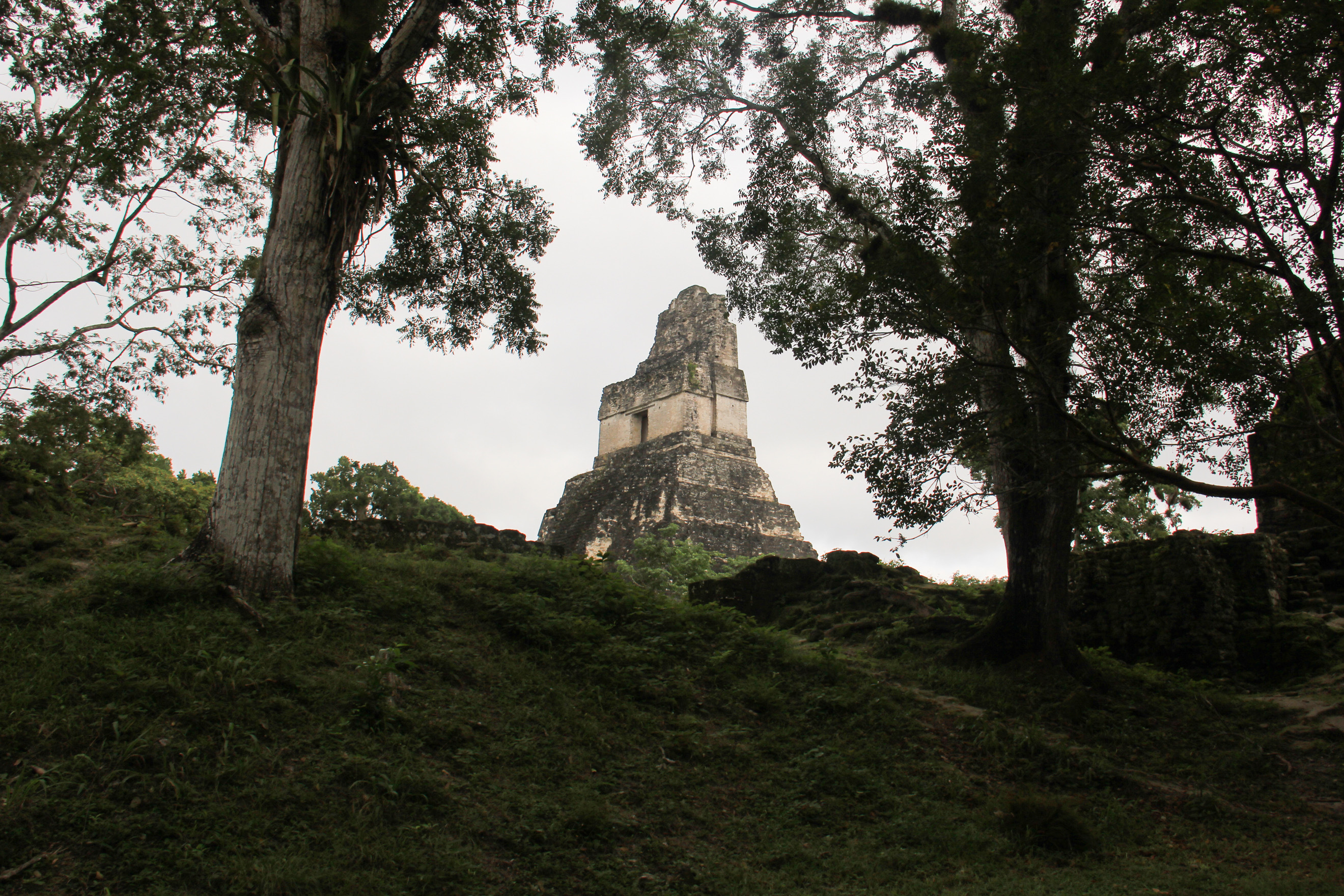 Templo maya en Tikal entre la selva